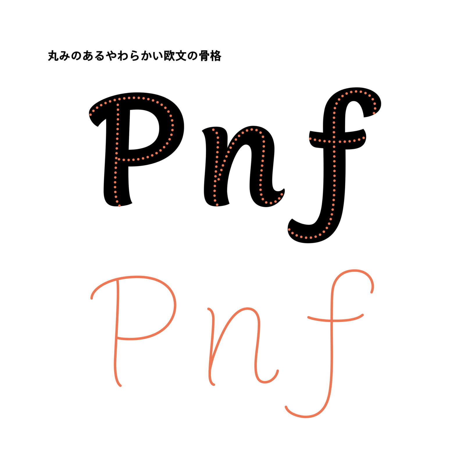 丸みのあるやわらかい欧文の骨格