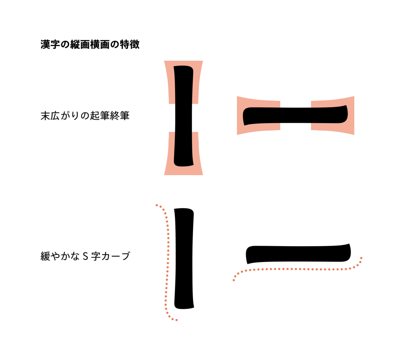 漢字の縦画横画の特徴
末広がり起筆終筆と緩やかなs字カーブ